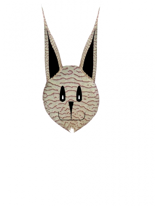 Creation of bunny: Step 3